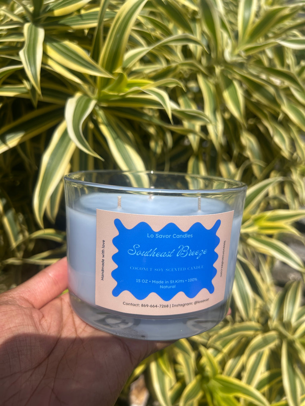 Southeast breeze *new and improved*