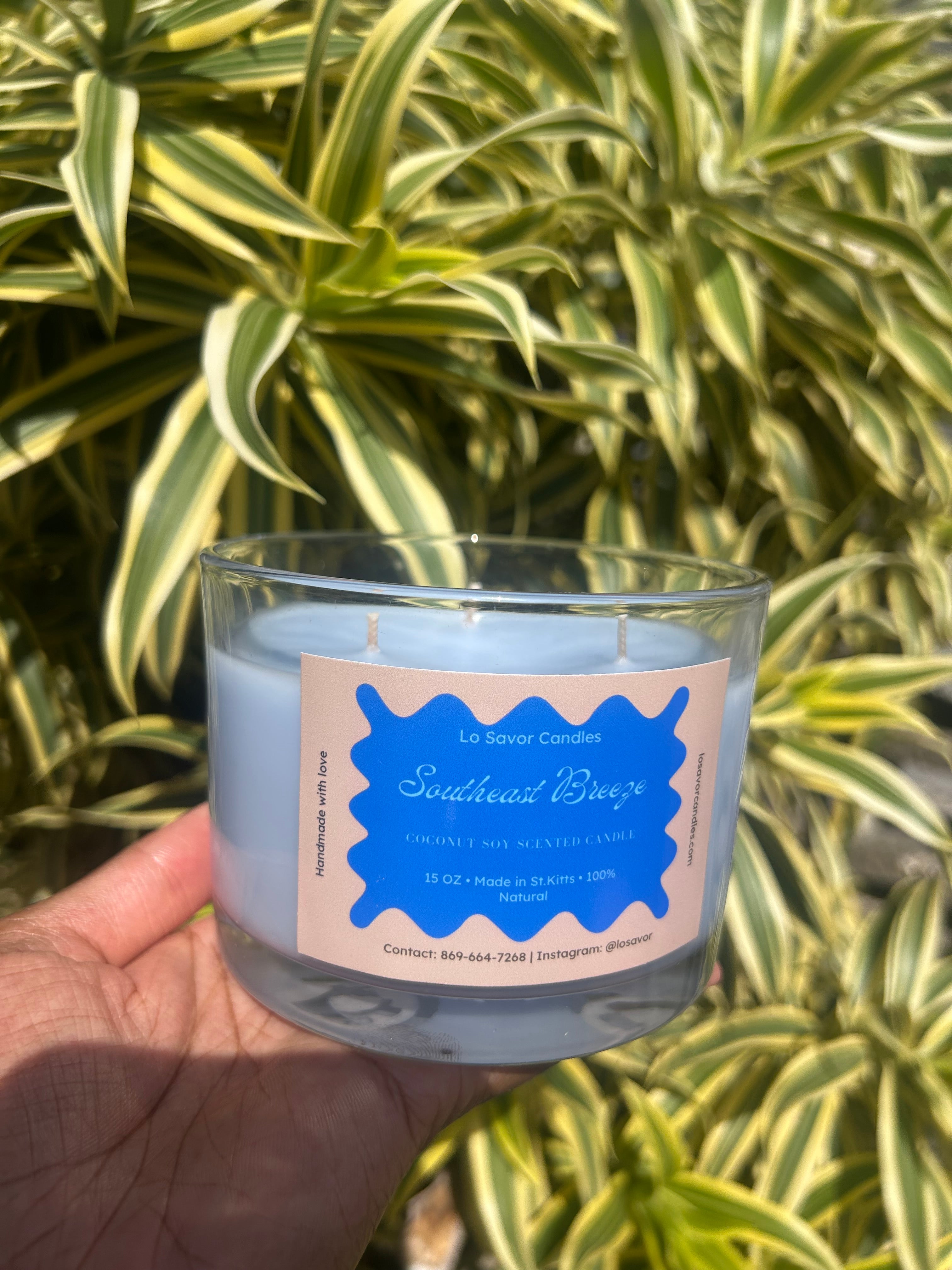 Southeast breeze *new and improved*