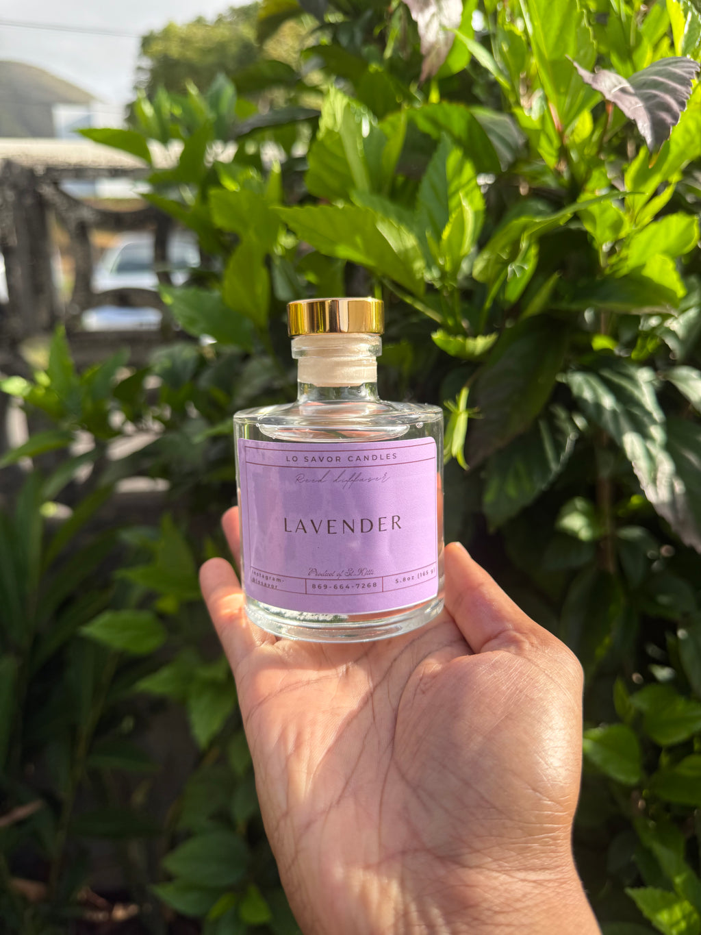 Lavender