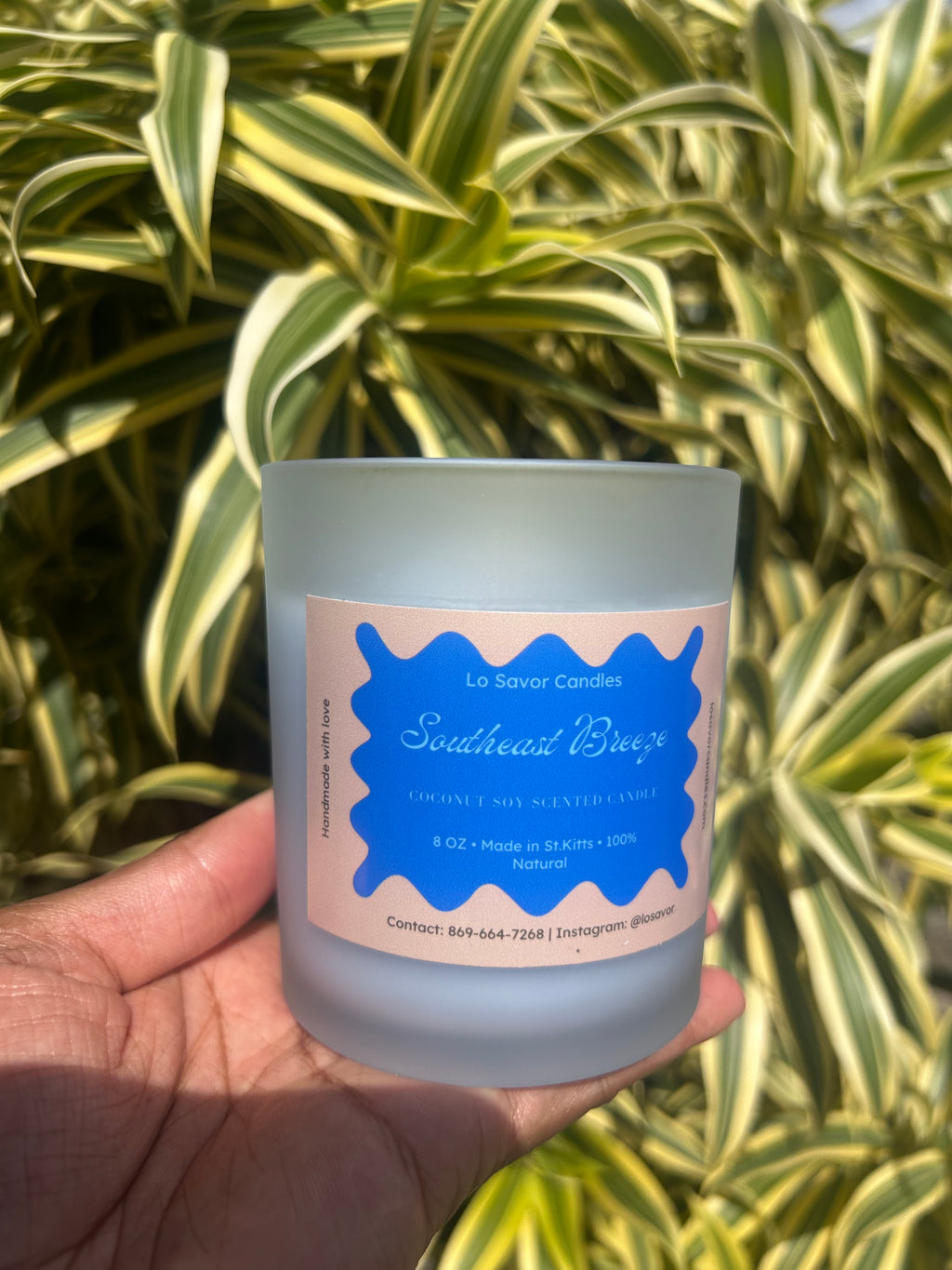 Southeast breeze *new and improved*