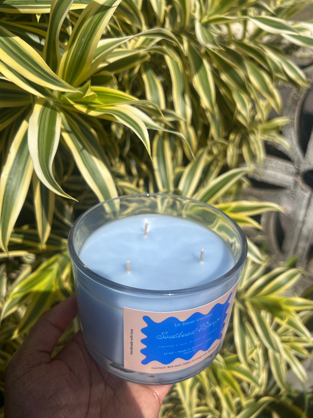 Southeast breeze *new and improved*