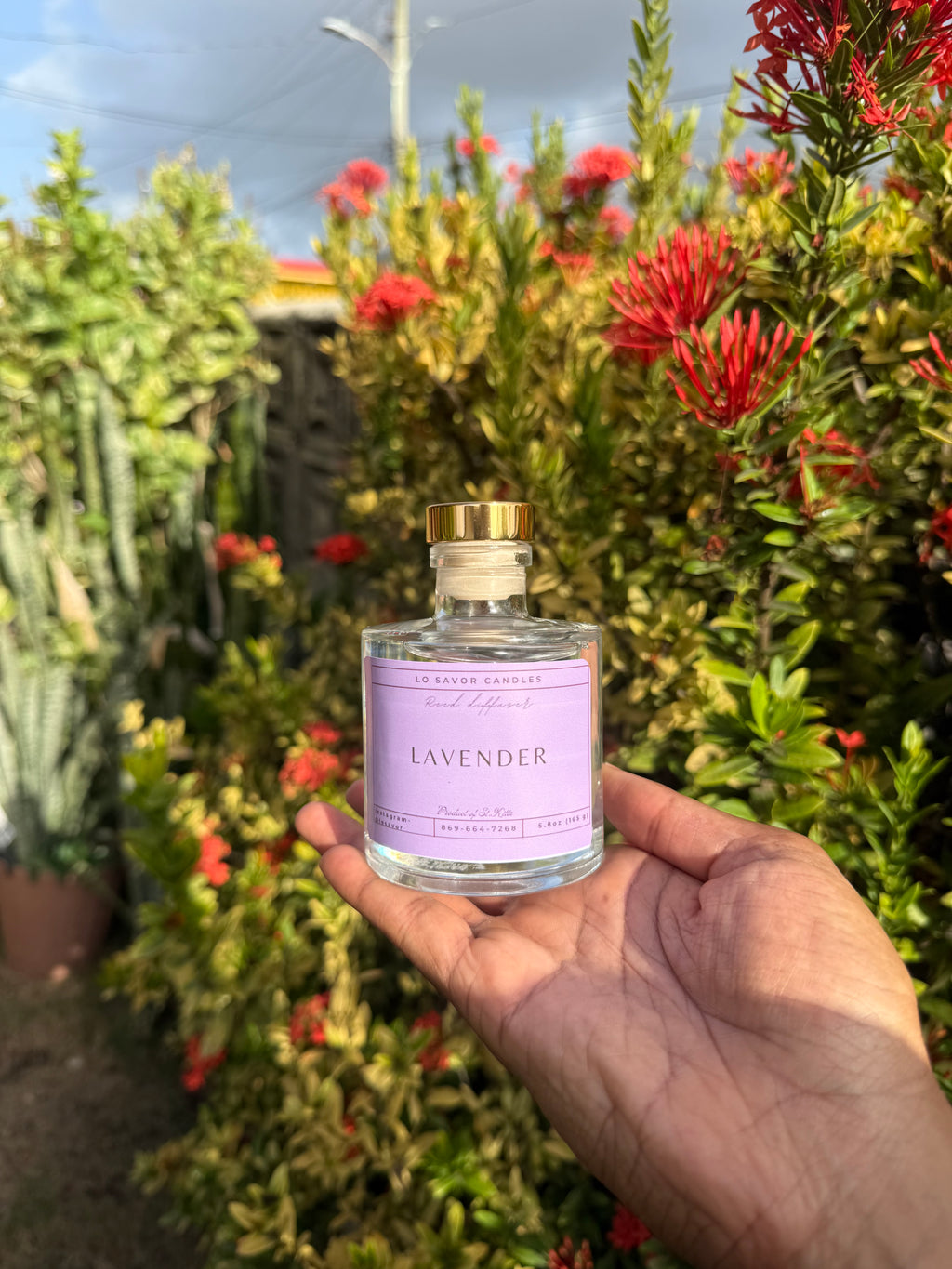 Lavender